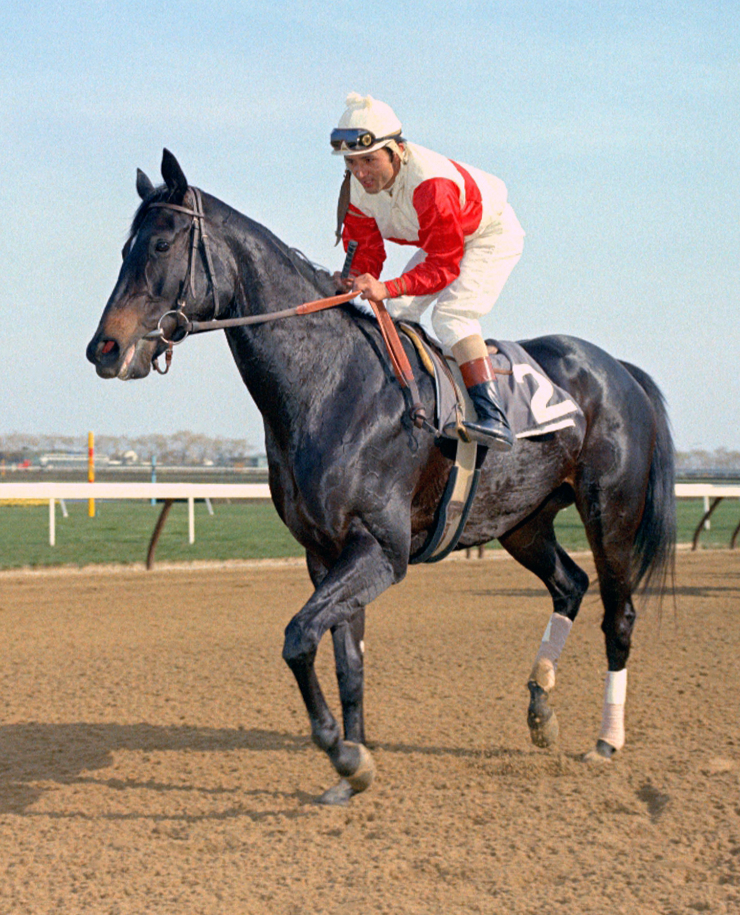 Ruffian — ranked #14