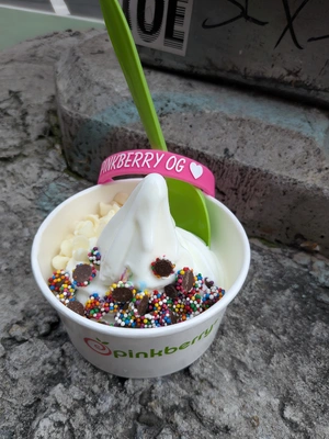 Pinkberry — ranked #13