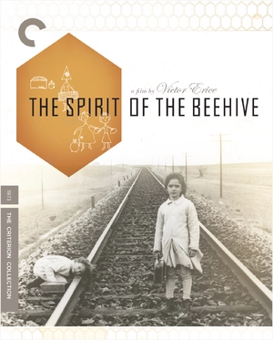 The Spirit of the Beehive — ranked #13