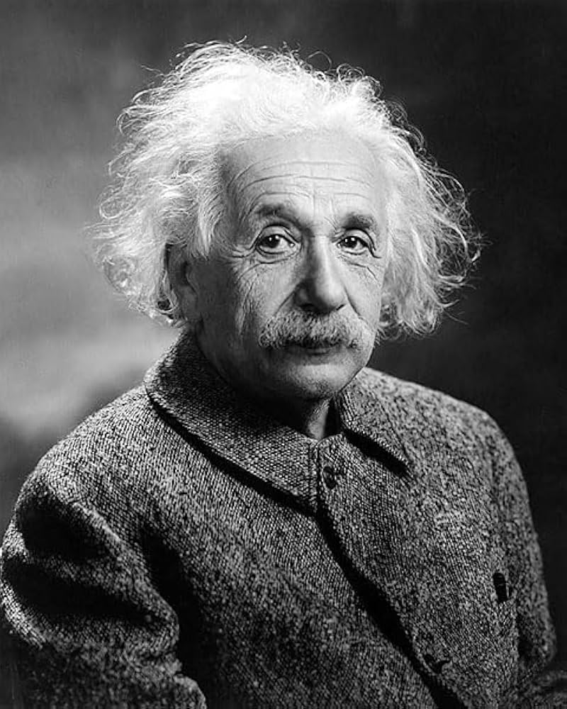 Albert Einstein — ranked #7