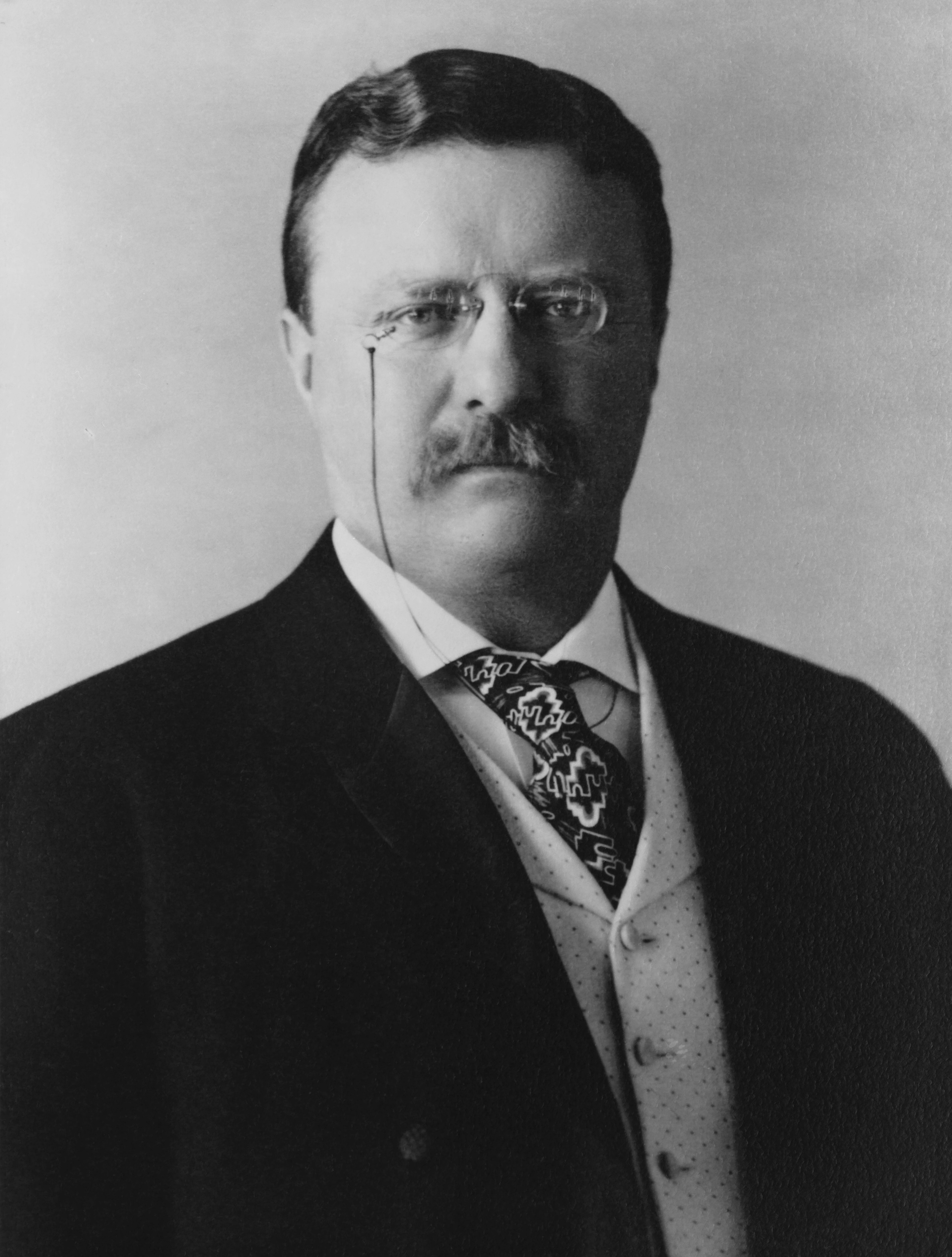 Theodore Roosevelt — ranked #3