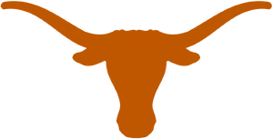Texas Longhorns — ranked #8
