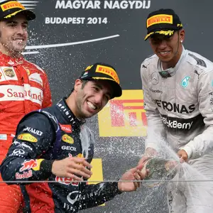 2014 Hungarian Grand Prix — ranked #8