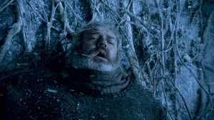 The Door — ranked #4