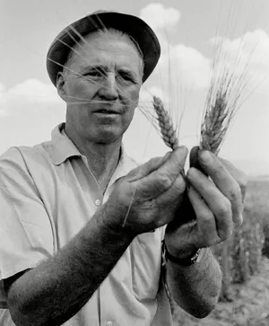Norman Borlaug — ranked #8