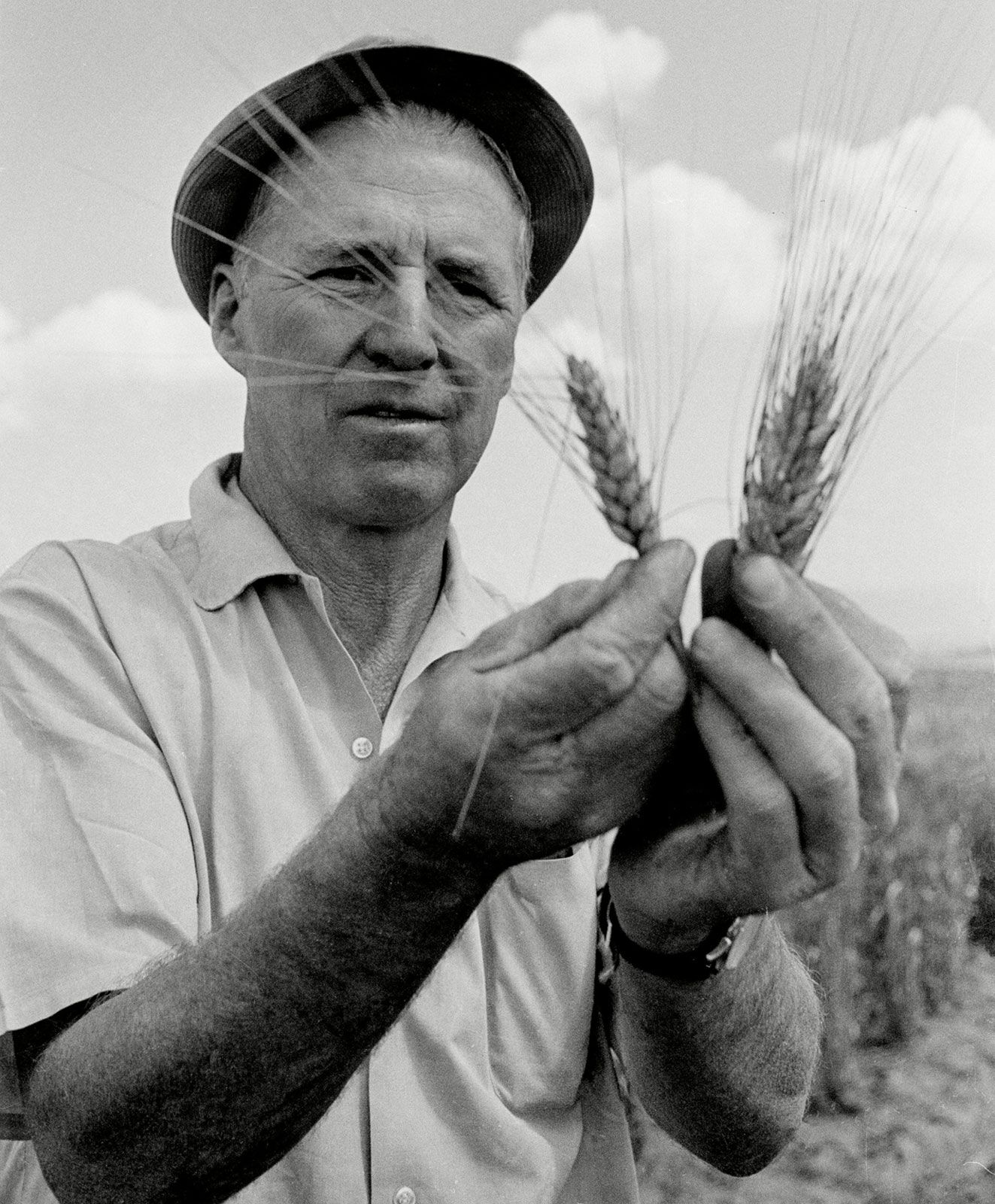 Norman Borlaug — ranked #8