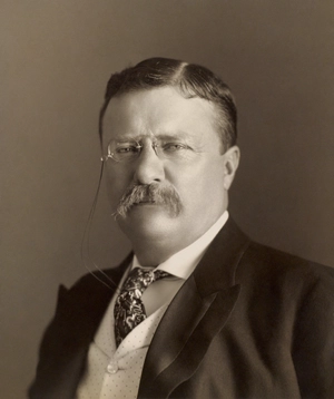 Theodore Roosevelt — ranked #5