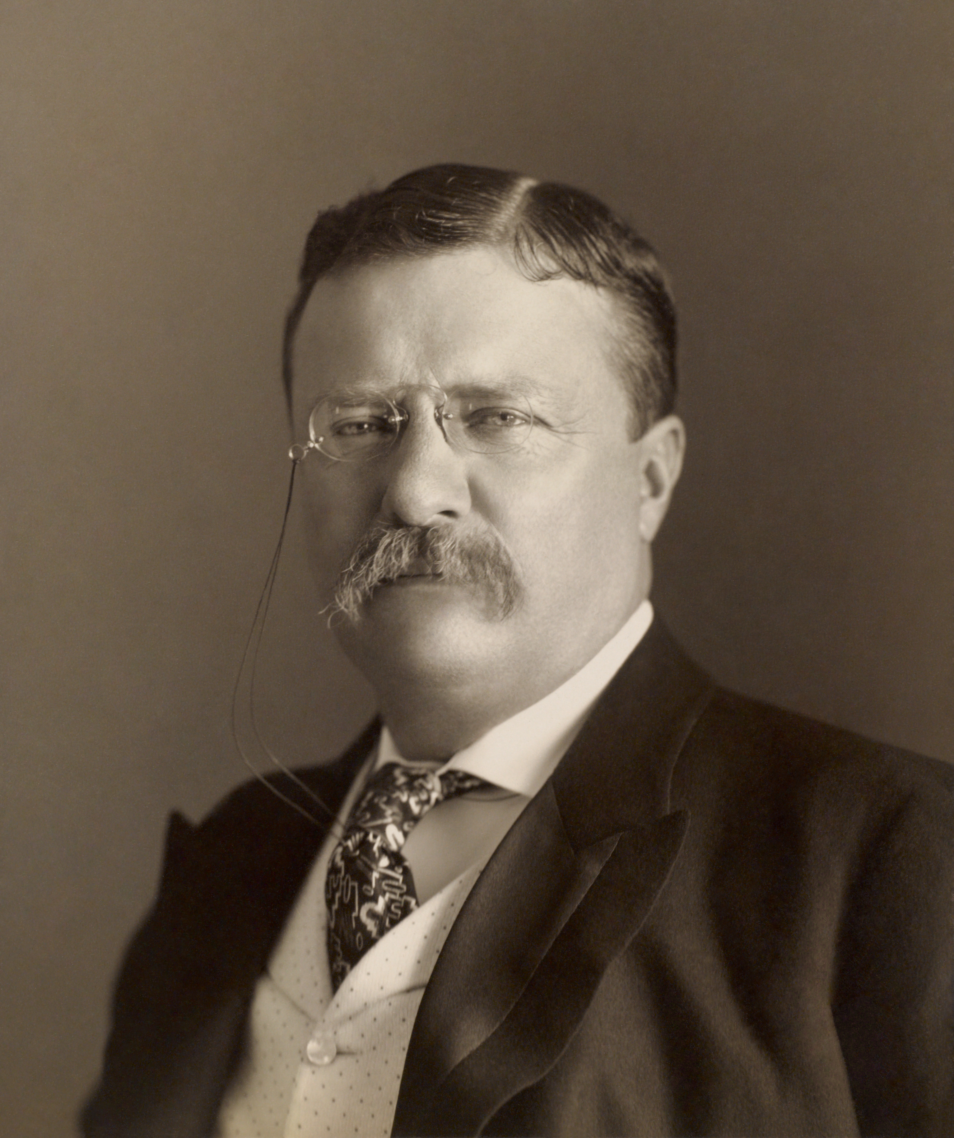 Theodore Roosevelt — ranked #5