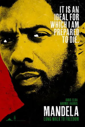 Mandela: Long Walk to Freedom — ranked #7