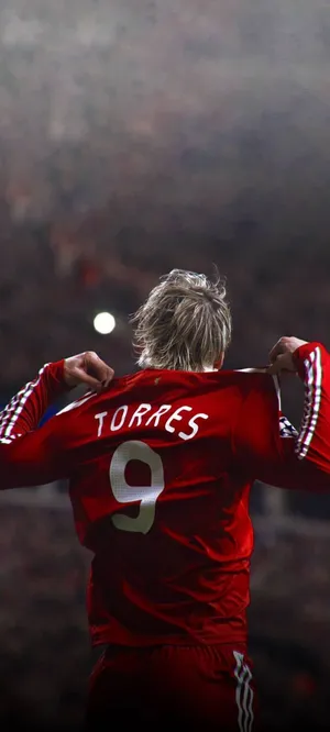 Fernando Torres — ranked #8