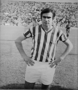 Julio Cardeñosa — ranked #13