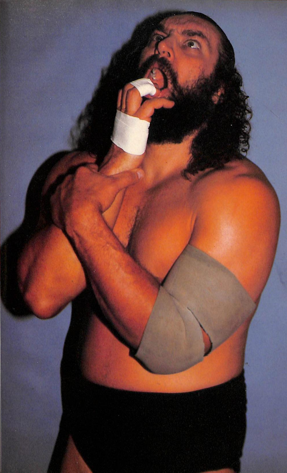 Bruiser Brody — ranked #15
