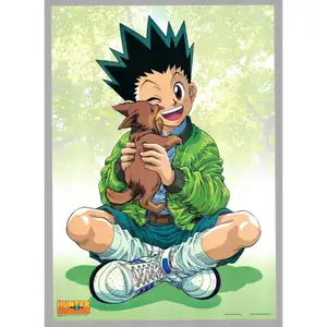 Gon Freecss — ranked #6