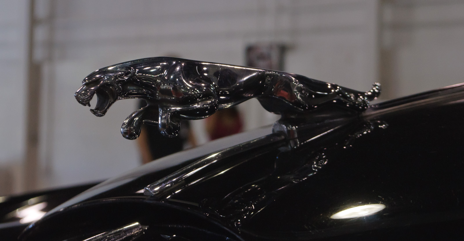 Jaguar Leaper — ranked #11