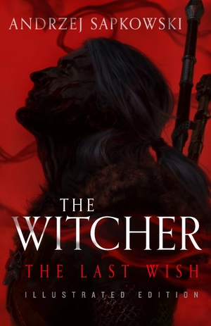 The Witcher — ranked #14