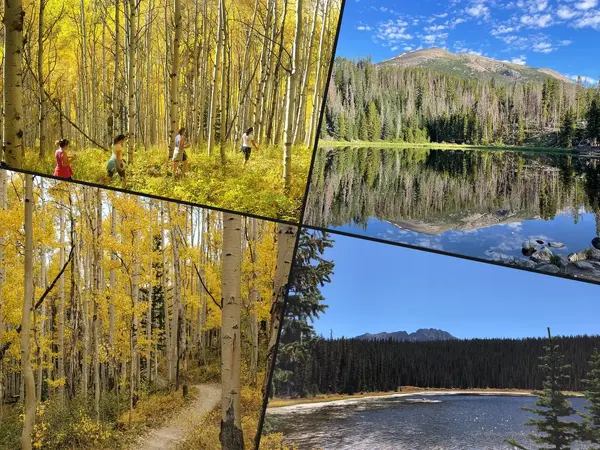 The 17 Best Fall Hikes in Colorado for Aspen Colors