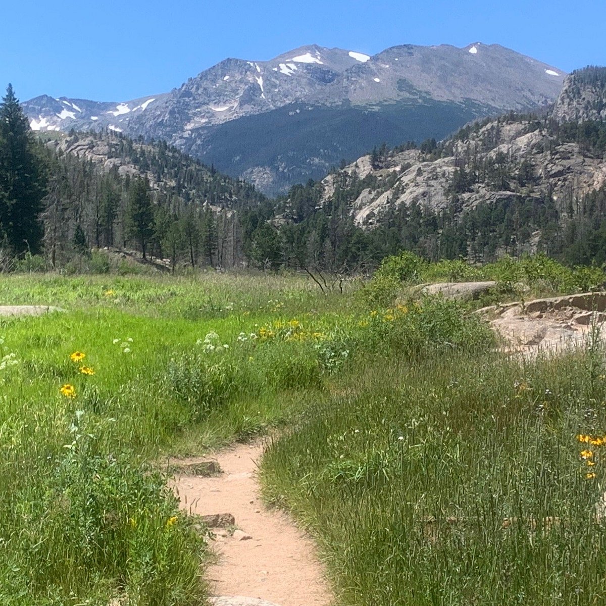 Cub Lake Trail — ranked #4