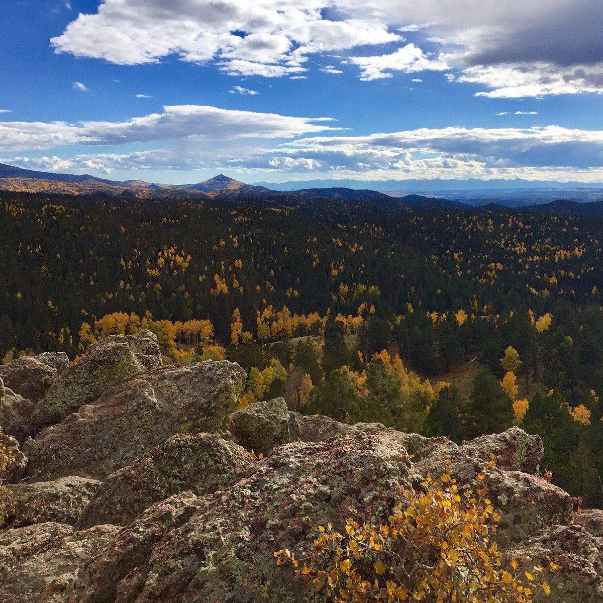 Mueller State Park Outlook Ridge — ranked #13