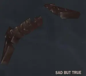 Sad but True — ranked #8