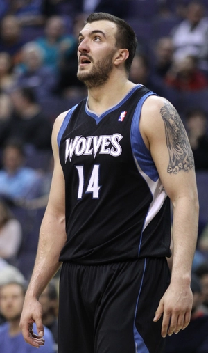 Nikola Pekovic — ranked #10