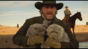EDS: Cat Herders — ranked #8
