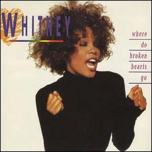 Where Do Broken Hearts Go — ranked #17