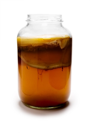 Kombucha — ranked #18
