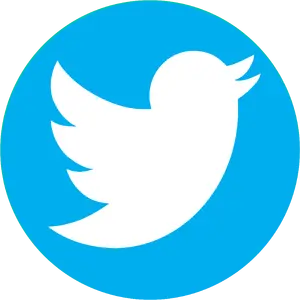 X (Twitter) — ranked #10