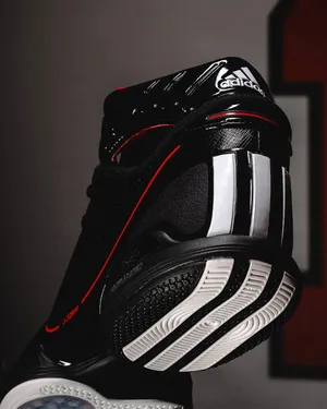 Derrick Rose x Adidas — ranked #10