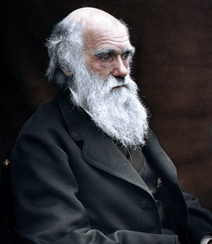 Charles Darwin — ranked #16
