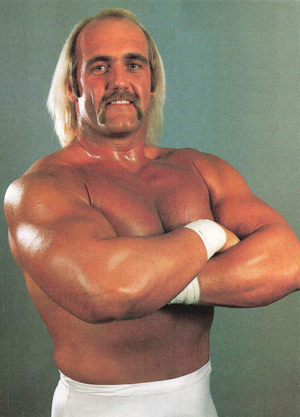 Hulk Hogan — ranked #16
