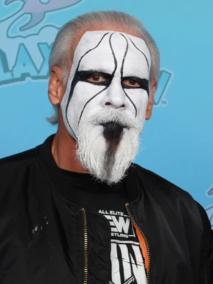 Sting — ranked #13