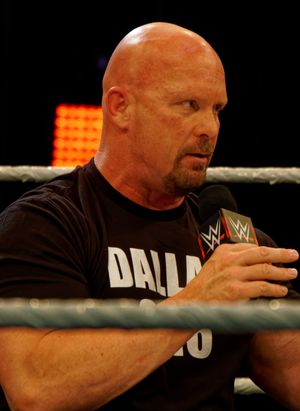 Stone Cold Steve Austin — ranked #17