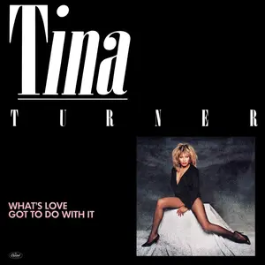 What's Love Got to Do with It — ranked #9