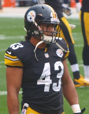 Troy Polamalu — ranked #14