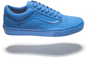 Vans Old Skool — ranked #13