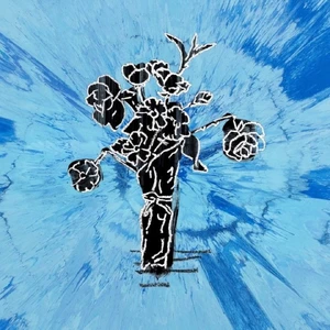 Supermarket Flowers — ranked #6