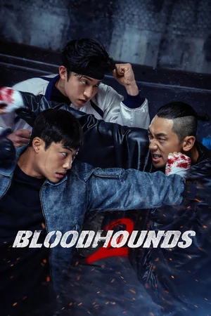 Bloodhounds — ranked #13