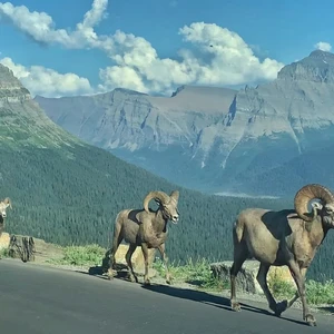 Going-to-the-Sun Road — ranked #16