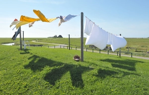 Clean laundry — ranked #4