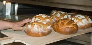 Freshly baked bread — The 19 Best Smells in the World
