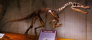Baryonyx — ranked #15