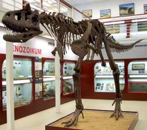 Carnotaurus — ranked #7
