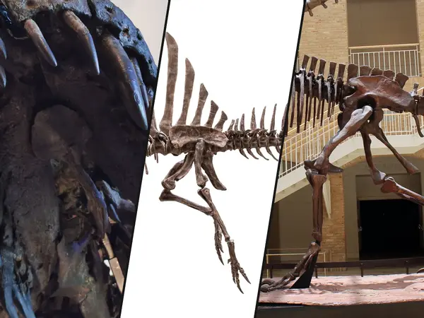 The 19 Most Fearsome Carnivorous Dinosaurs