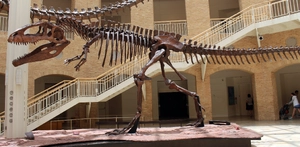 Giganotosaurus — ranked #17