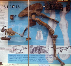 Megalosaurus — ranked #9
