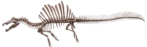 Spinosaurus — ranked #5