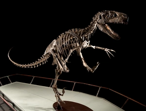Utahraptor — ranked #16