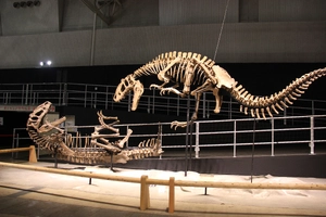 Yutyrannus — ranked #6