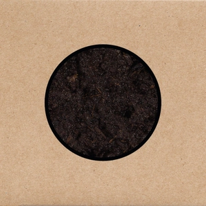 Swans - Birthing — ranked #13